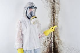 Best Attic Mold Removal  in Great Bend, NY